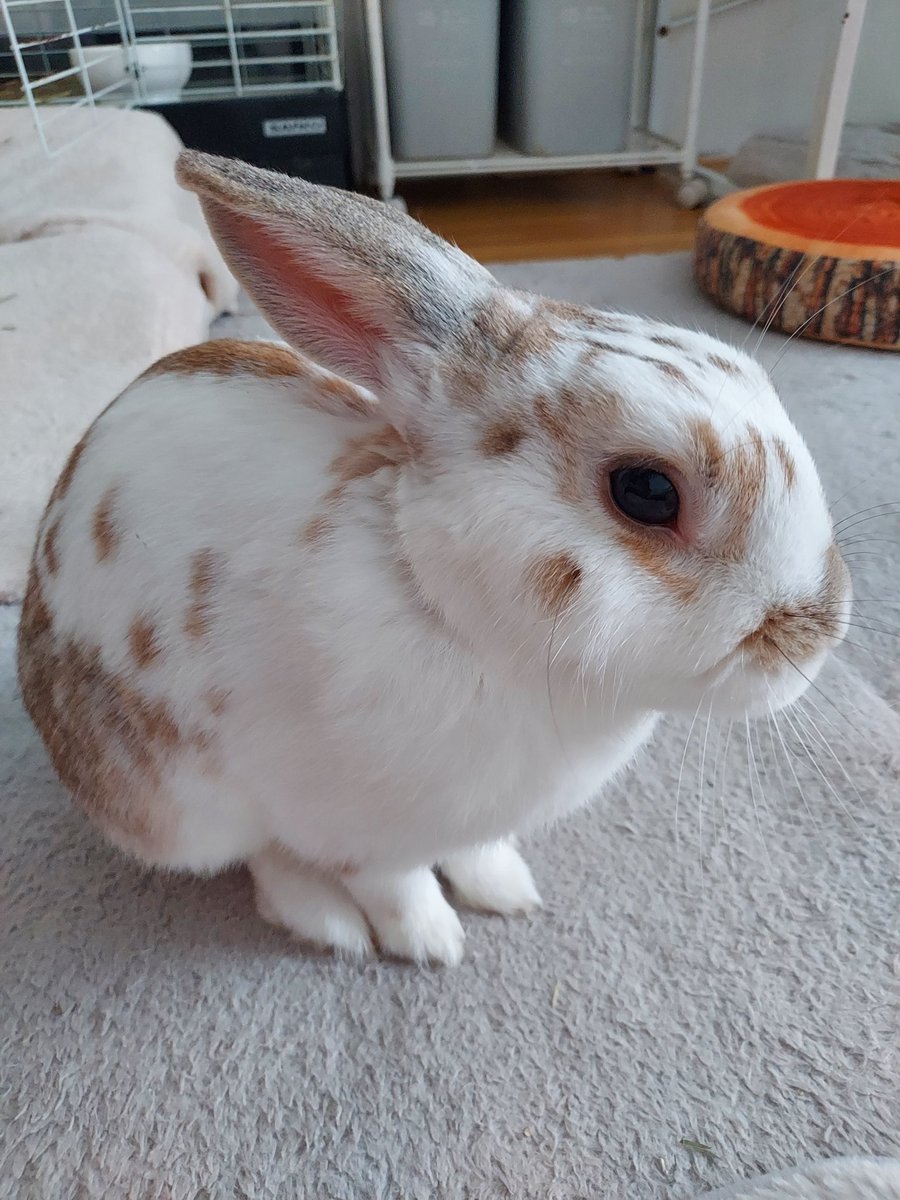 くた君おはよう☀️