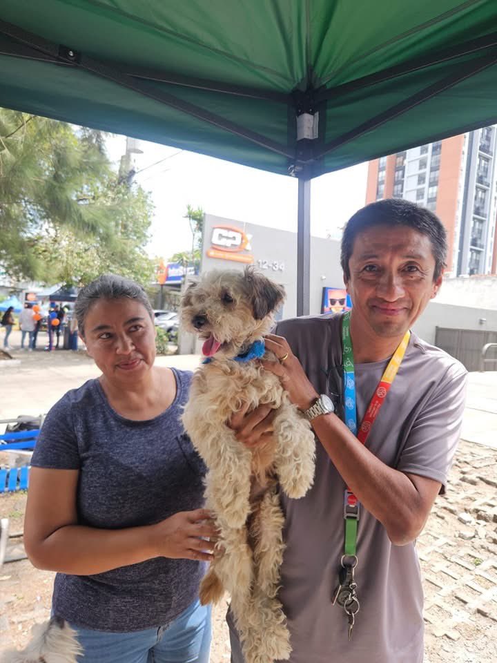 Animals Hope tweet media
