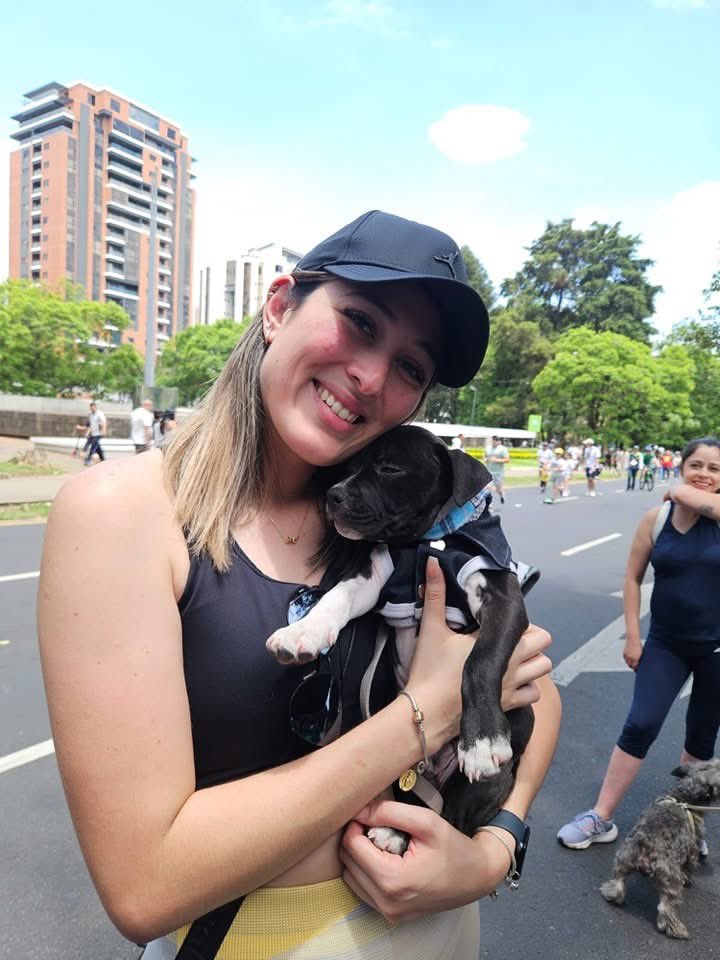 Animals Hope tweet media