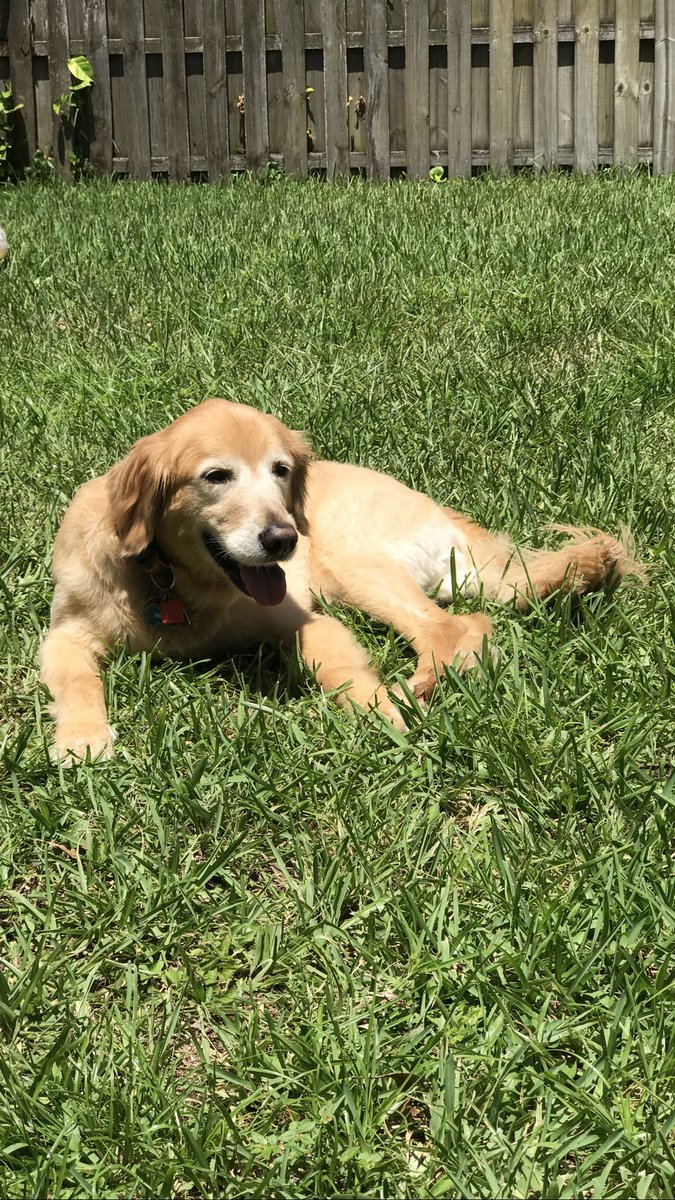 Uncle Cliff 🇺🇸 tweet media