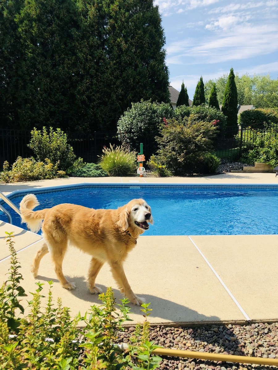 Uncle Cliff 🇺🇸 tweet media