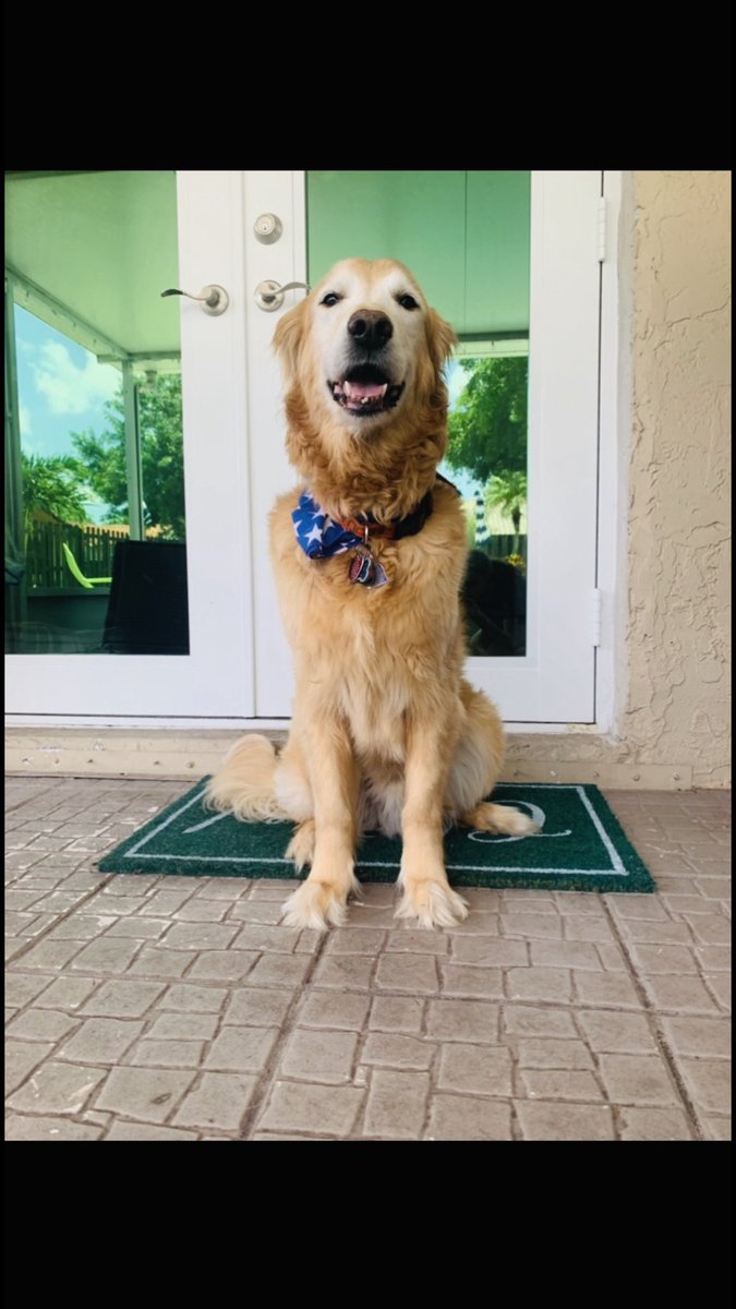 Uncle Cliff 🇺🇸 tweet media