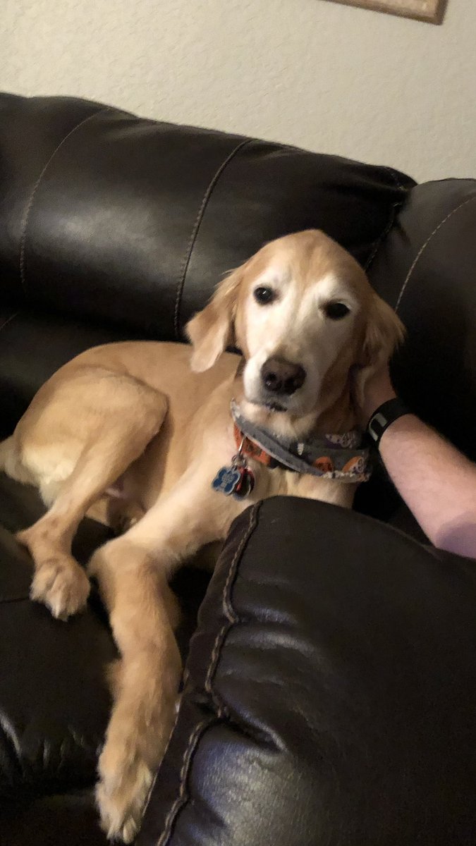 Uncle Cliff 🇺🇸 tweet media