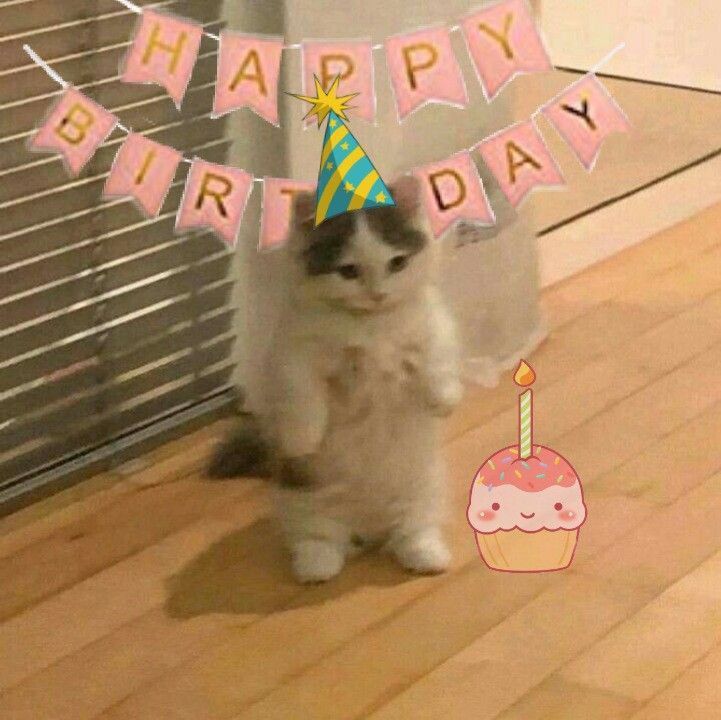 +1 🎂