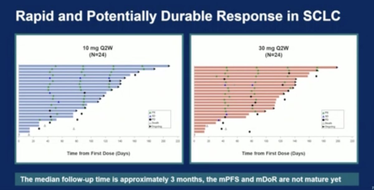 MarceloCorassa's tweet image. Not only BIspecific. Now we’re going TRIspecific. Alvetamig, targeting CD3/DLL3/DLL3 (distinct DLL3 epitopes) in after at least 2 prior lines of therapy is safe, consistent with the drug class. Small number of its, but over 50% ORR. DoR still not mature. #ASCO25
