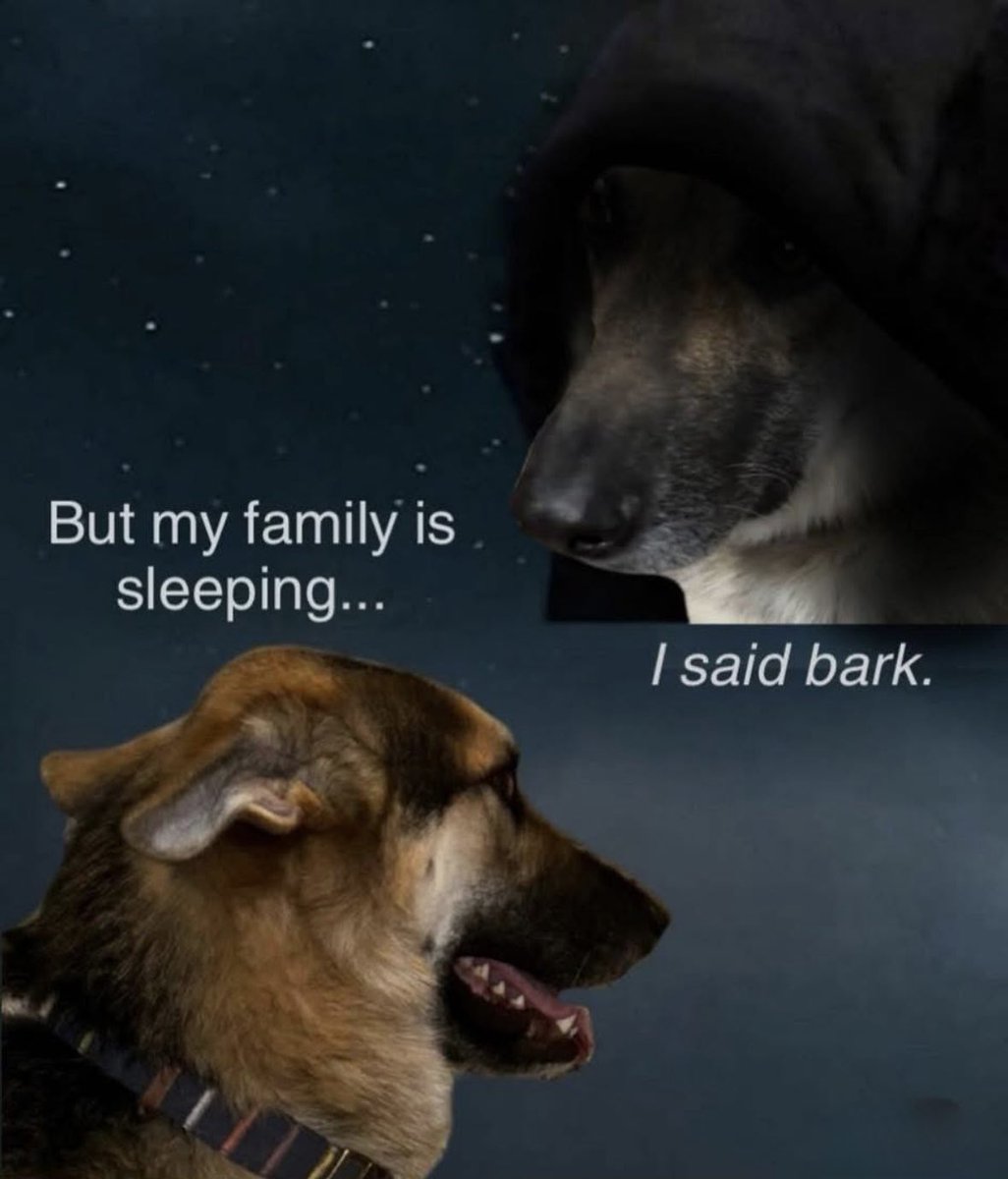 Respectful Memes (@respectfulmemes) on Twitter photo 