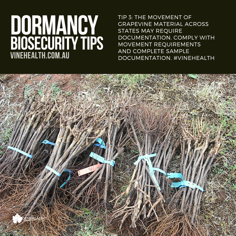 Dormancy Tip #3: The movement of grapevine material across states may require documentation. Comply with movement requirements and complete documentation required with samples: vinehealth.com.au/rules/state-mo…  #vinehealth