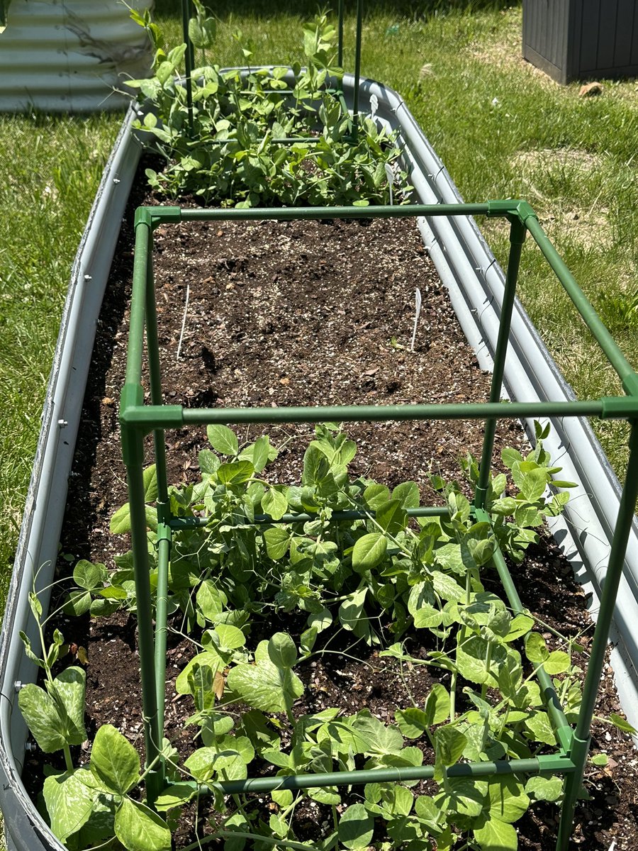 Tamme Manganelli tweet media