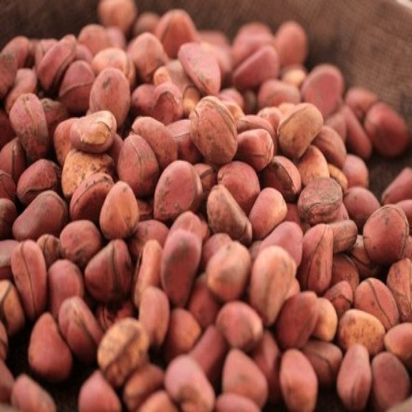 Francemanexport's tweet photo. A Nigerian exporter delivering premium kolanut, bitter kola, and ginger to global markets.
Reliable supply, top quality, competitive pricing.
Let’s connect for your next shipment.
#Kolanut #BitterKola #Ginger #ExportBusiness #GlobalTrade https://t.co/gQ1zRxlieU