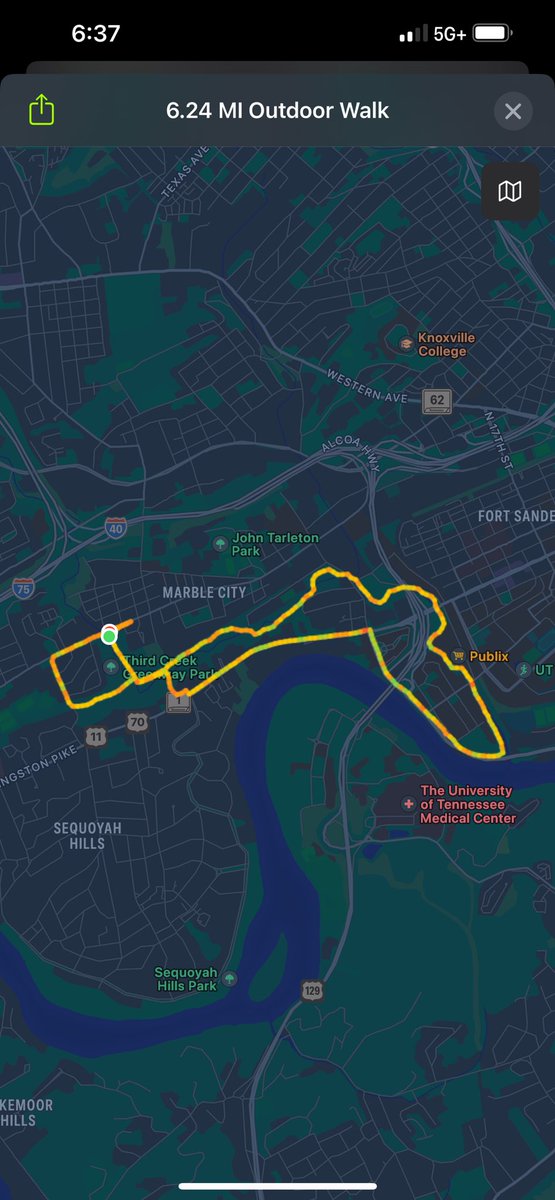 Pumpkin Spice Otter. (@benjiboybb2) on Twitter photo 