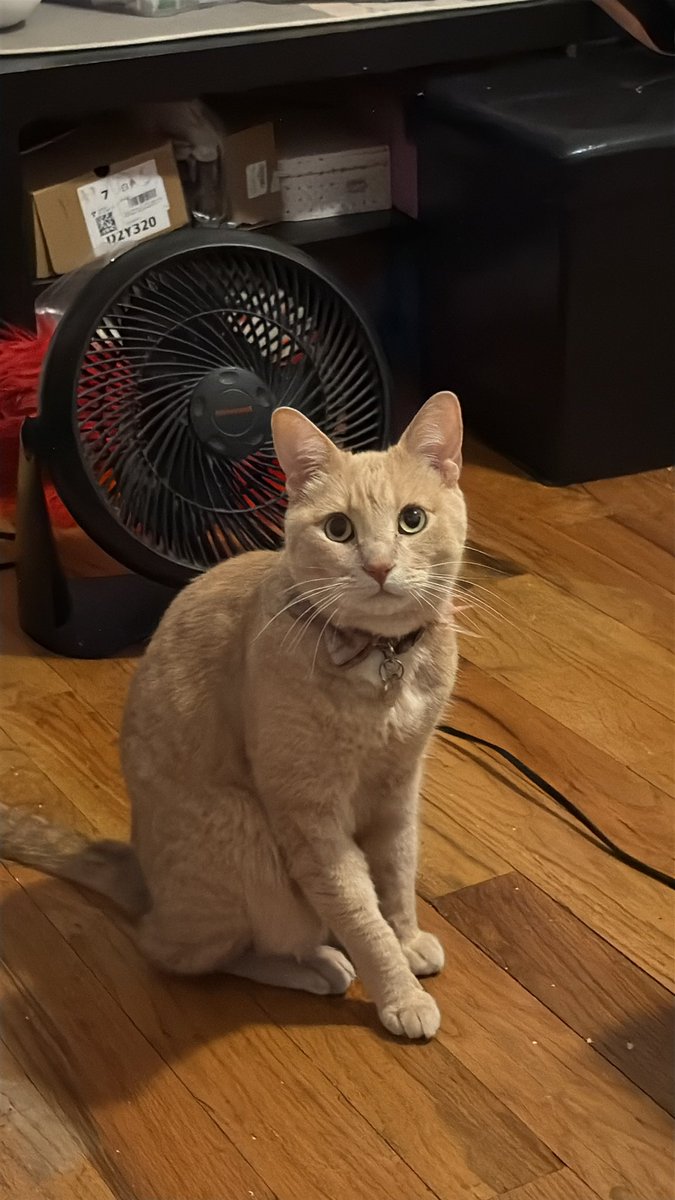 Nephew!!!!