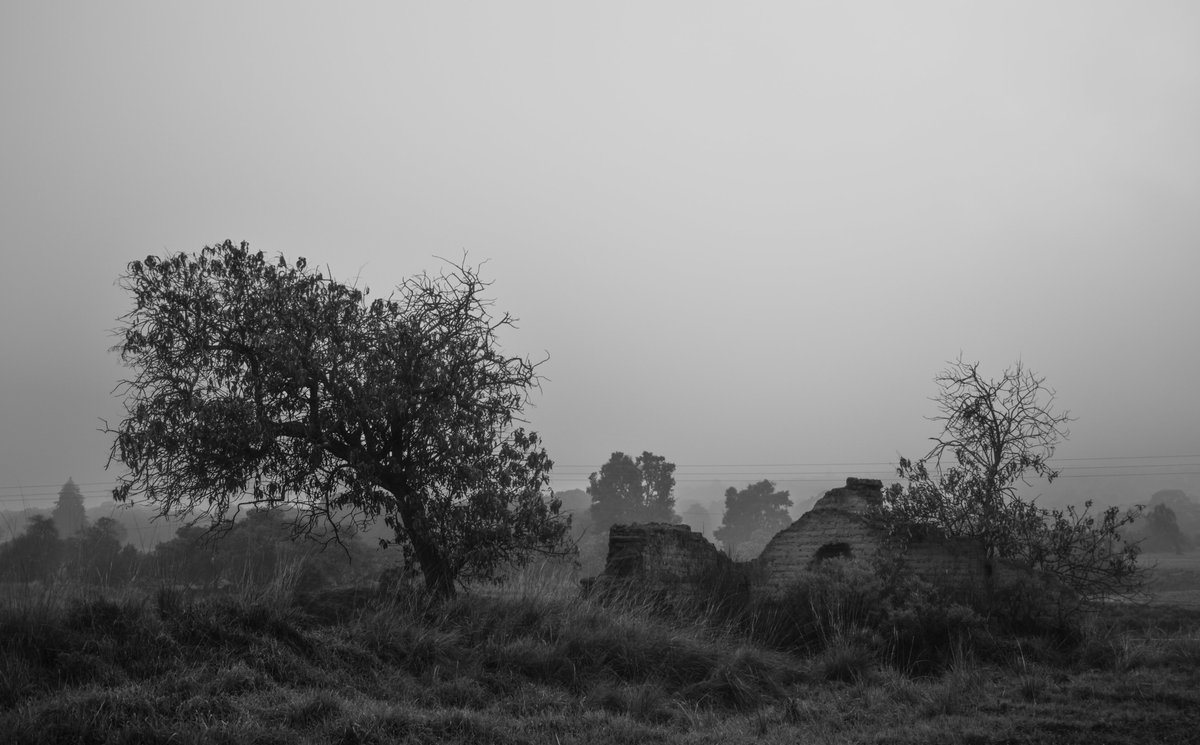 Vestigios entre la niebla.