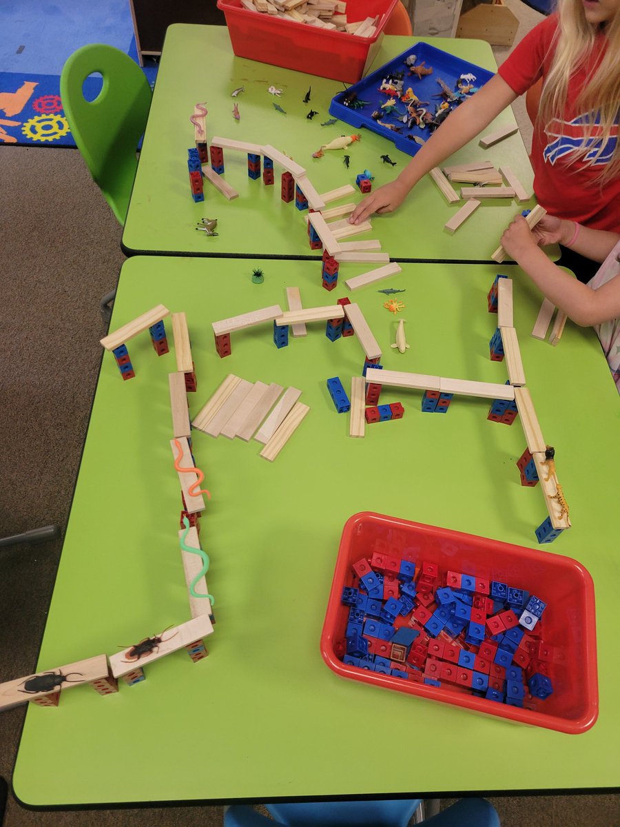 The table is water!! K students built bridges to get animals quickly around the pond and to their friends' houses. 🌉
#stemeducation #steameducation #kevapkanks 
#teamworkmakesthedreamwork