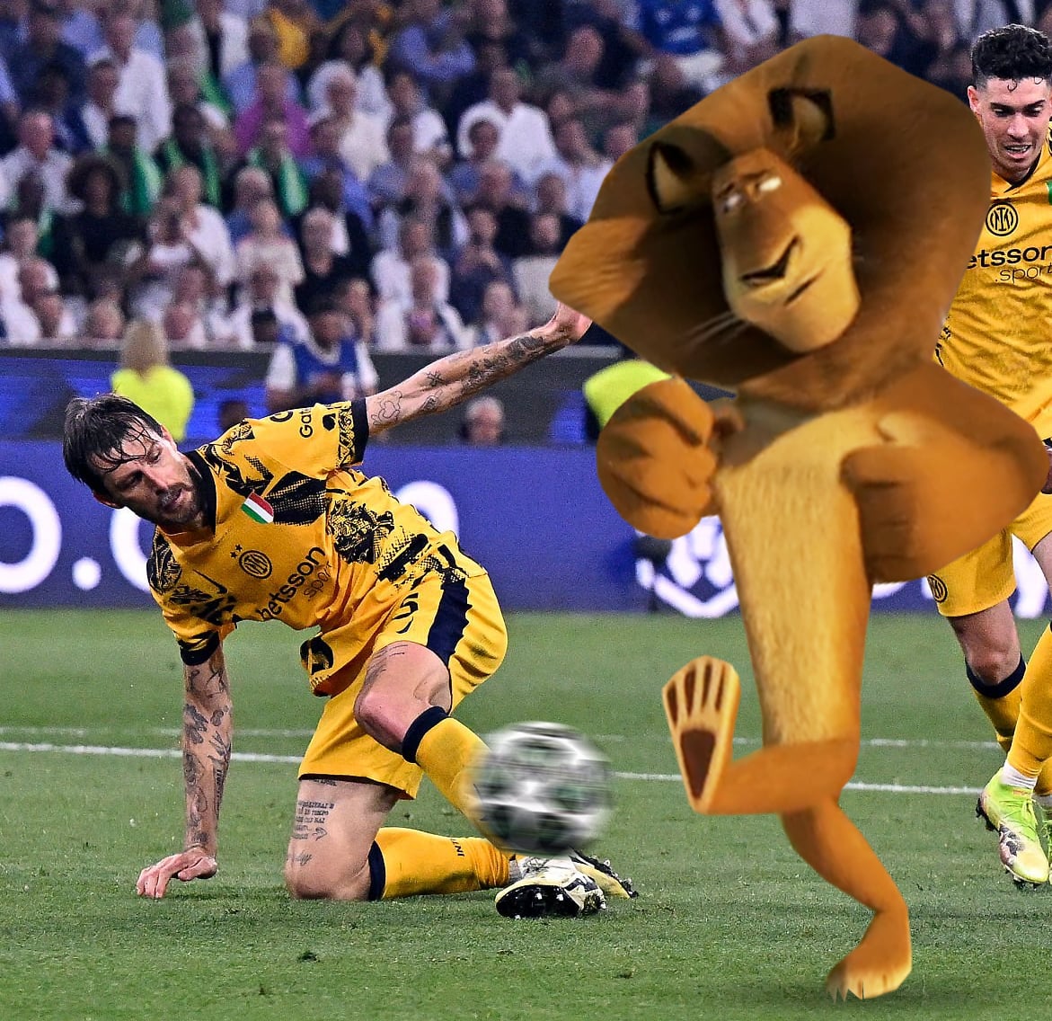 juve_belgique's tweet photo. ⚽️ BUUUUUUUUUUUTT DU ROI DE NEW-YORK, ALEEEEEX LE LION !!! 🦁

Que c'est dur de voir Acerbi se faire FROISSER par son idole 😭

PSG 6 - 0 INTER