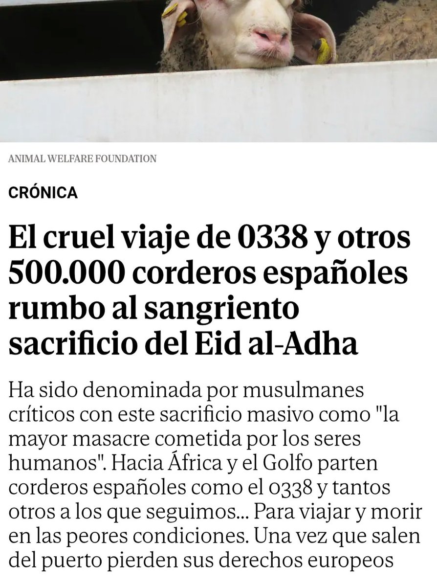 La crueldad humana sin medida 💔💔💔