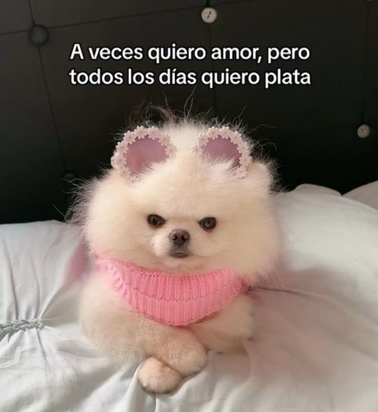 FraseSimple's tweet photo. https://t.co/63lTHk7Nb1