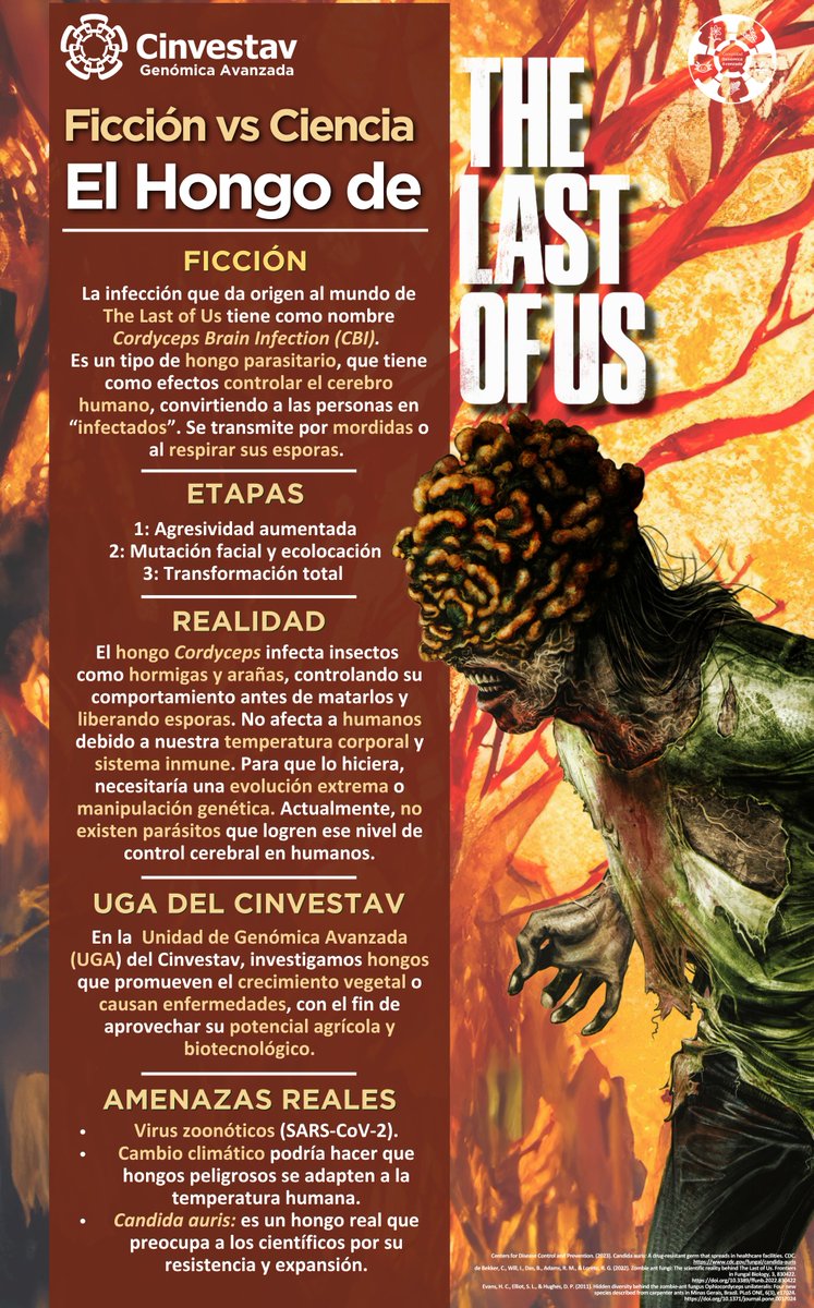 La Evolución de los Hongos en la Tierra, image size:747x1200