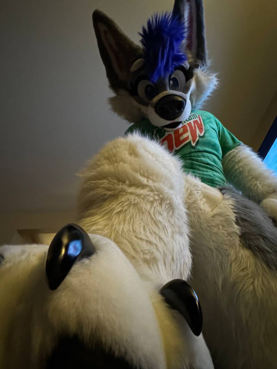 Sapphire Husky (@sapphire__husky) on Twitter photo Oh no! Looks like your trapped under my big strong paws! What will you do?! 🐾
📸 : <a href="/SaloHusky/">Salo Husky</a>
#morefurlessmonday Oh no! Looks like your trapped under my big strong paws! What will you do?! 🐾
📸 : <a href="/SaloHusky/">Salo Husky</a>
#morefurlessmonday