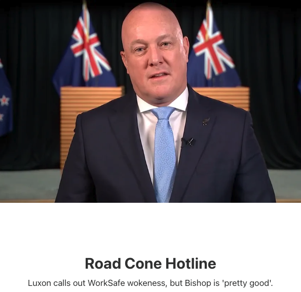 “‘A lot of road cones are just sitting there, doing very, very little,’ said the PM. Sure, Christopher, the same could be said of your backbench. Should we have a hotline to report them next time we see one of them nodding off in parliament or playing on their phones?”