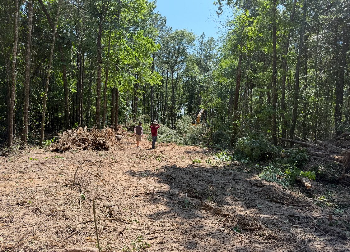1/5 of the driveway is somewhat clear

(Yes, this is the driveway, it has to be massive to fit my equipment)