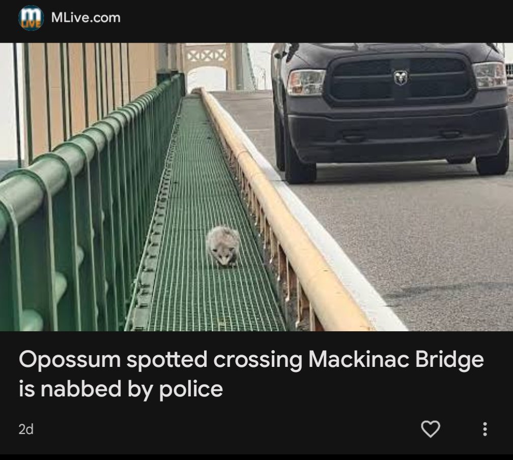 False arrest?