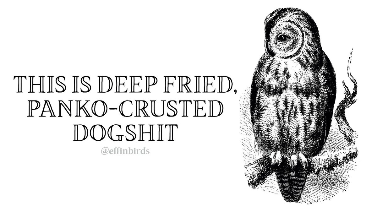 Effin' Birds (@effinbirds) on Twitter photo 