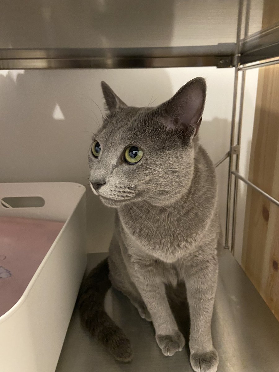 毎日ぷんちゃん