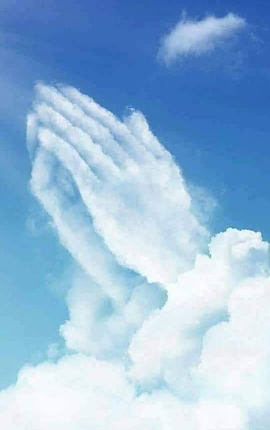 لبيك بروحي،
لبيك بعيدًا عن الكعبة،
لبيك ها هنا في قلبي،
لبيك ما استطعنا الهجرة إليك،
فأقمنا كعبتنا في قلوبنا ، لبيك لبيك لبيك.
"لبيك ندعوا والدعاء وسيلةٌ
ماخاب عبدٌ قد سمعت دعاهُ"
لبيك ربي غزة تُذبح فولّها قدراً
 يرفع عنها الظلم،
ويخيب آمال من خذلها..
ويمسح مابها من حزن، يالله..