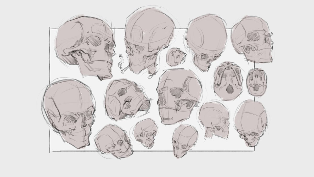 Apestogeth's tweet image. a bunch of skulls
#sketching