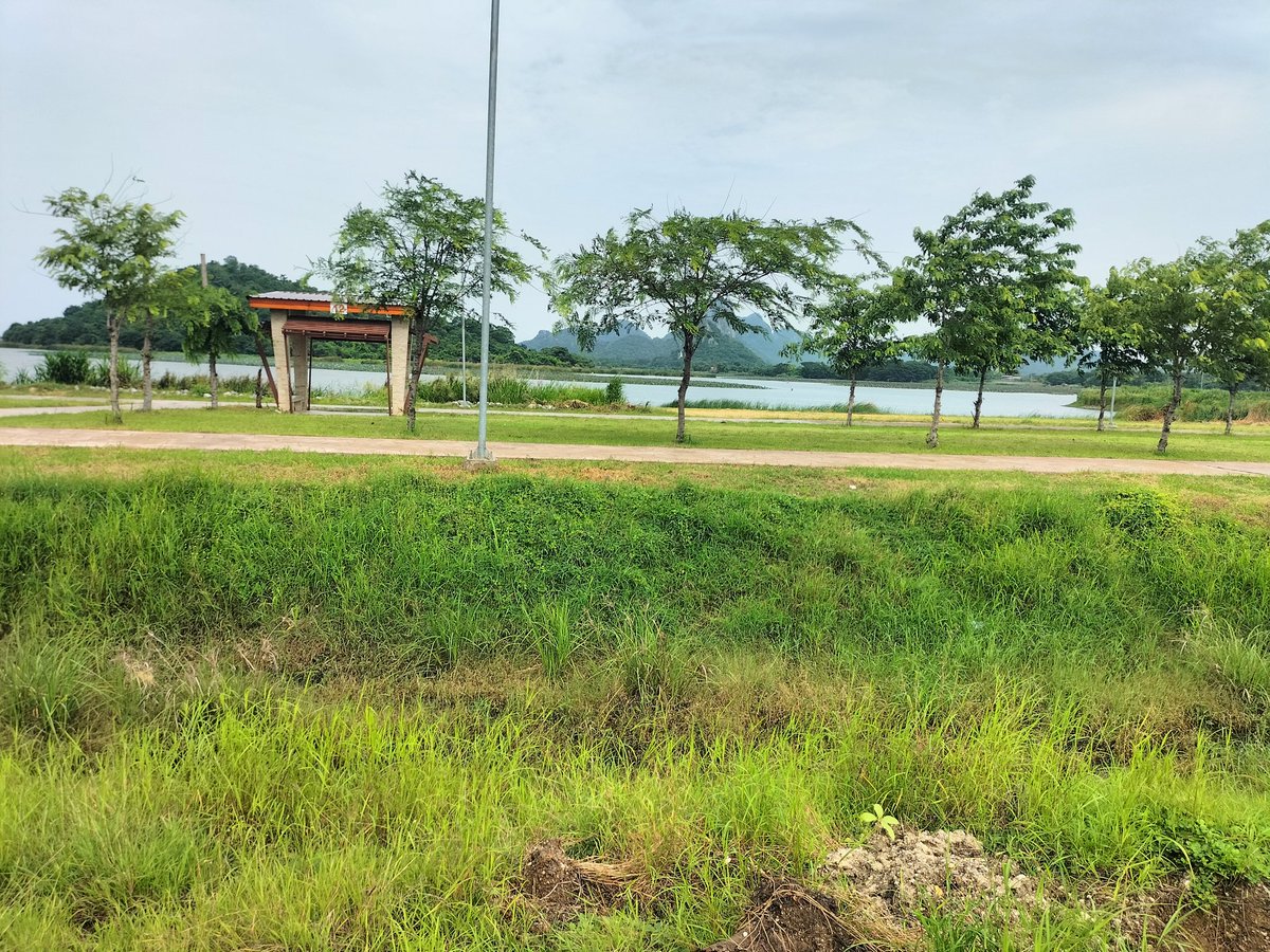 คู่แท้SWลพบุรี tweet media