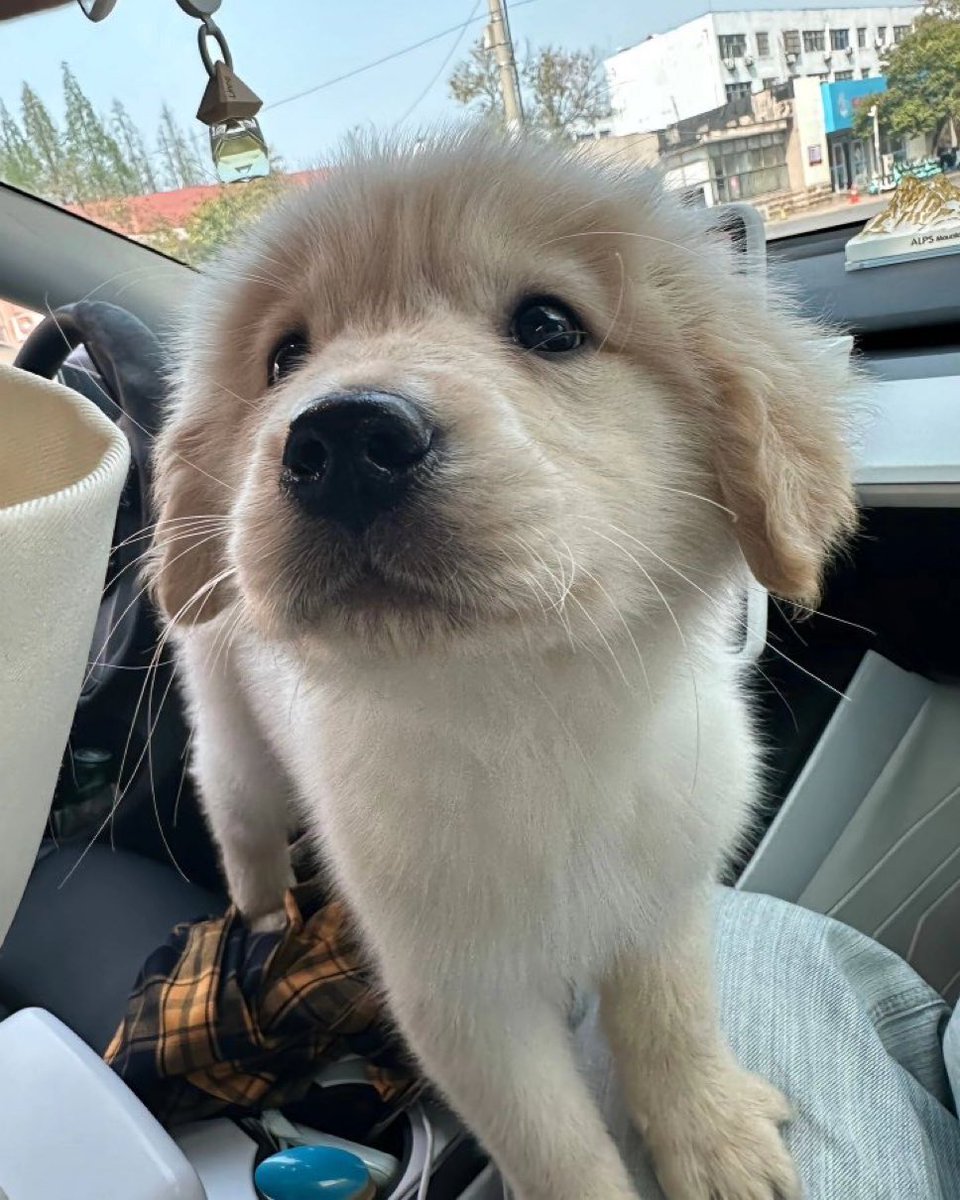 อุ้มหน่อยค้าบ