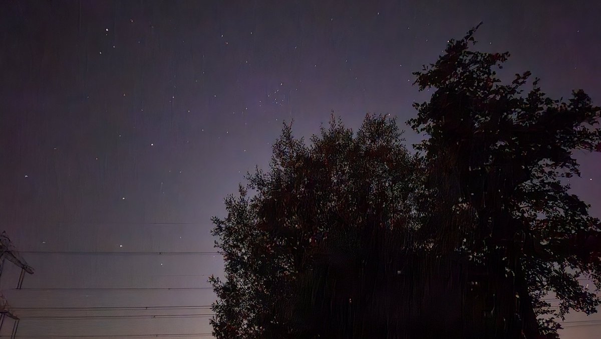 Andreas de Hoop tweet media