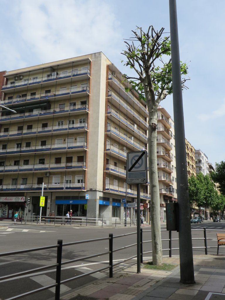 Un árbol con tratamiento particular en la Calle María Auxiliadora. En pocos años lo habremos perdido por podas inadecuadas.