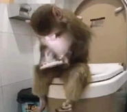 Oa ya estamos en vivooo probando jueguitos jeje

twitch.tv/Charlesg0_