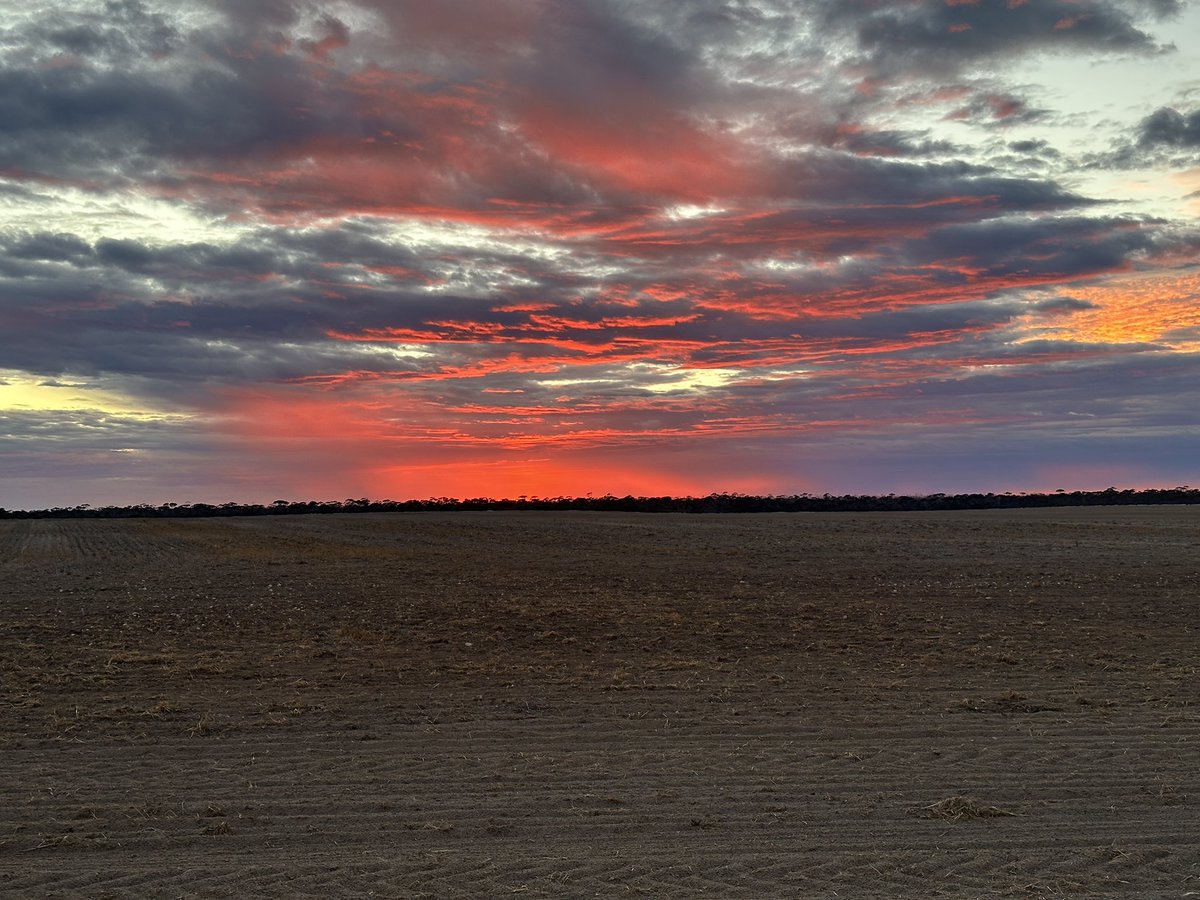 BrettoSouth's tweet photo. Cracker of a morning https://t.co/vosxCdiH1n