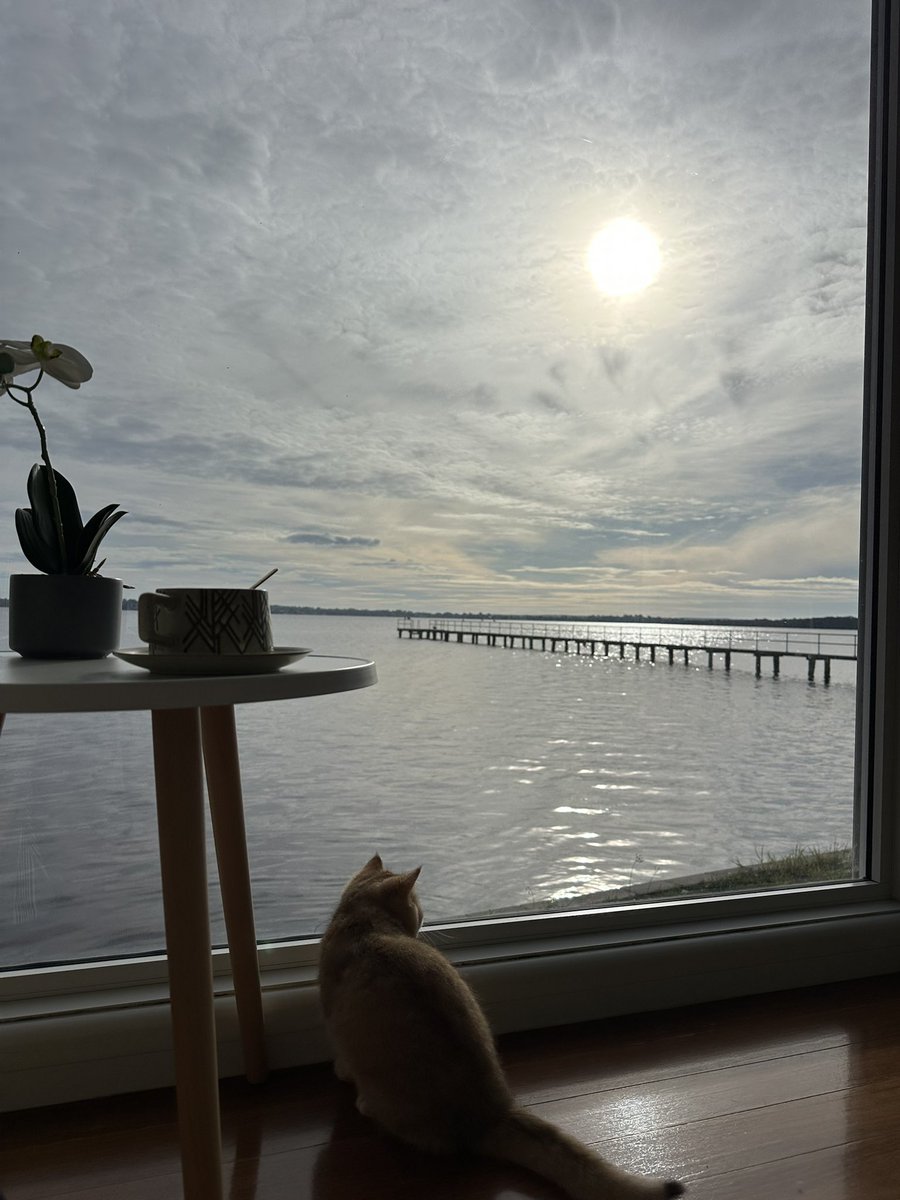 喝咖啡看景陪猫猫。
昨晚看到《小巷人家》的大结局，他们买下了厂里分的很小的房子，一家人激动得不行。然后想到自己……真好啊，当年离开原单位，丢弃警察身份，来到澳洲是多么好的选择。
很难想象曾经一无所有的自己，还可以住进这么大景色这么好的房子里，过着没有领导没有任务没有早起的自由自在的生活。
感恩。
当然，徐做的一切的决定才是最重要的。