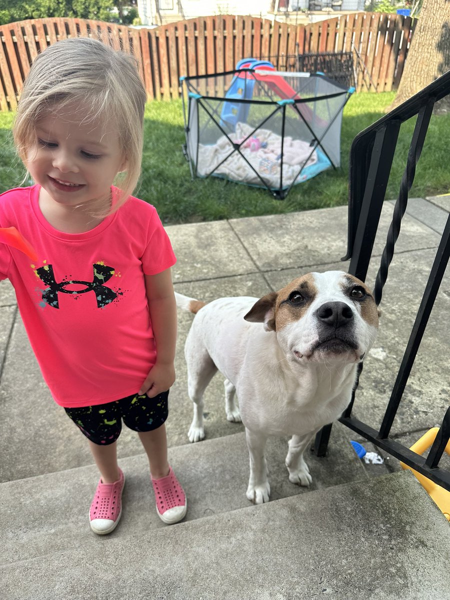 arocks131's tweet photo. bubs loves his claire https://t.co/GfEUSSUl9P