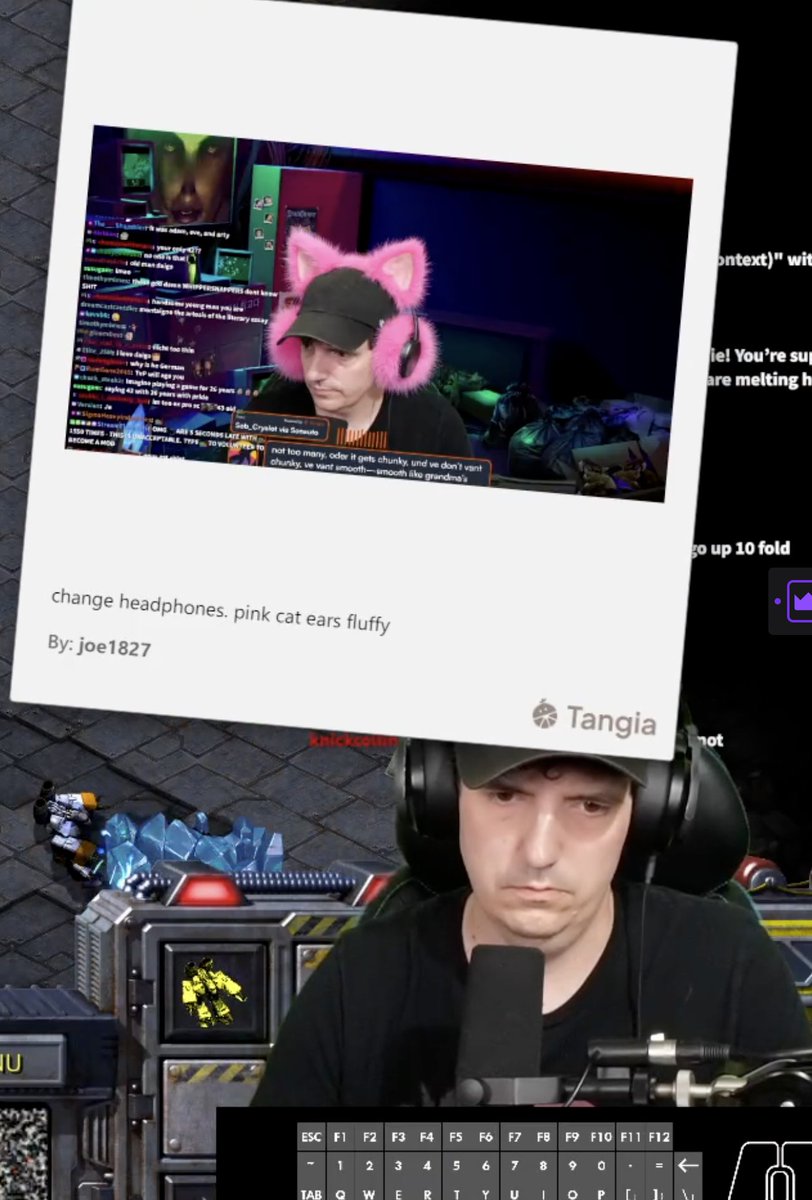 this is the tamest one so far