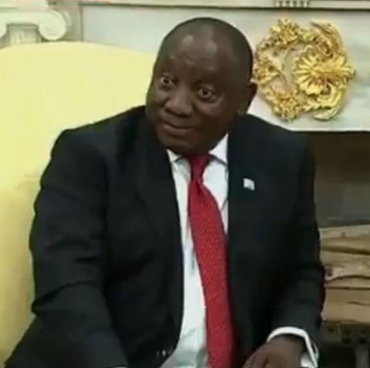 <a href="/Markfry809/">Mark 🍁</a> I would to see the South African President and the Canadian Prime Minister enjoying themselves laughing at 🌮 Trump 😂.

The South African President was adopted and raised by white people that's why he so well behaved, well groomed, cool calm and collected every time even in