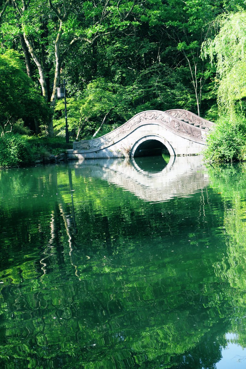 darrydeng's tweet photo. 浮生若梦，为欢几何。 https://t.co/EMGI8Rpdp3