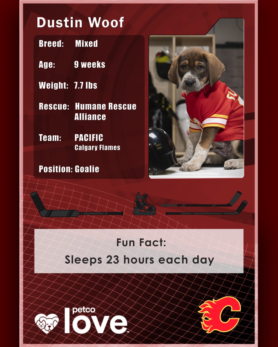The best boy 🥹

Tune into <a href="/Sportsnet/">Sportsnet</a> at 4:00 p.m. MT on June. 6 to cheer on Dustin Woof and the other adoptable rescue pups in the 2025 Stanley Pup!