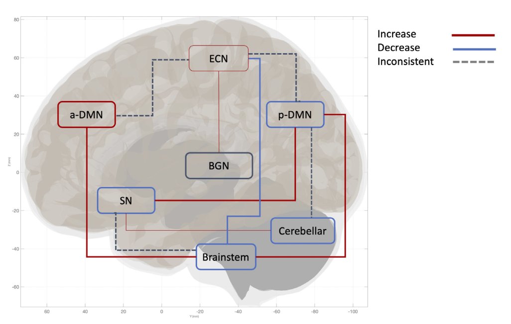 🧵
La neurociencia está revelando que no existe un único “trastorno de estrés postraumático”, sino varios subtipos cerebrales con mecanismos distintos.

Abro hilo 👇