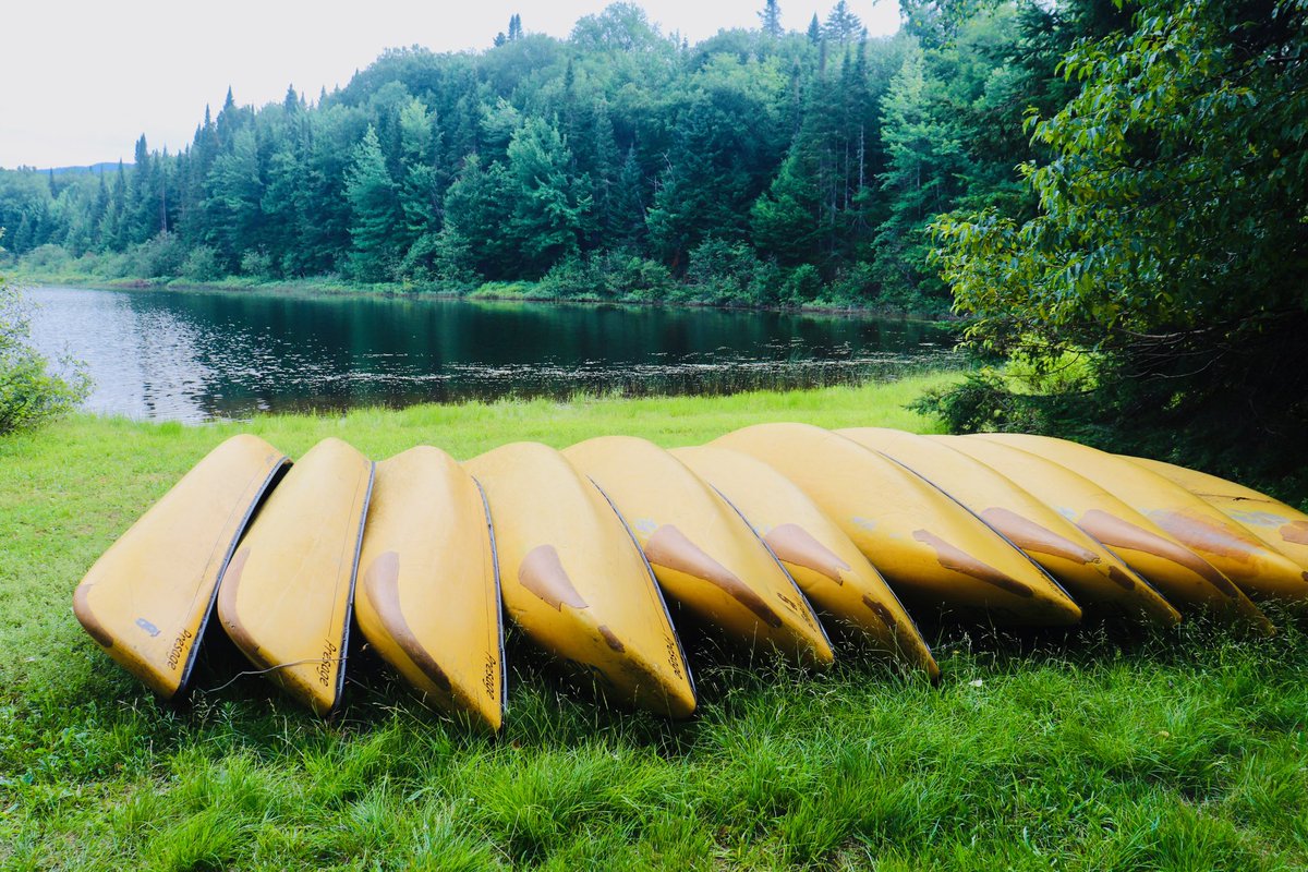 trish johnson tweet media