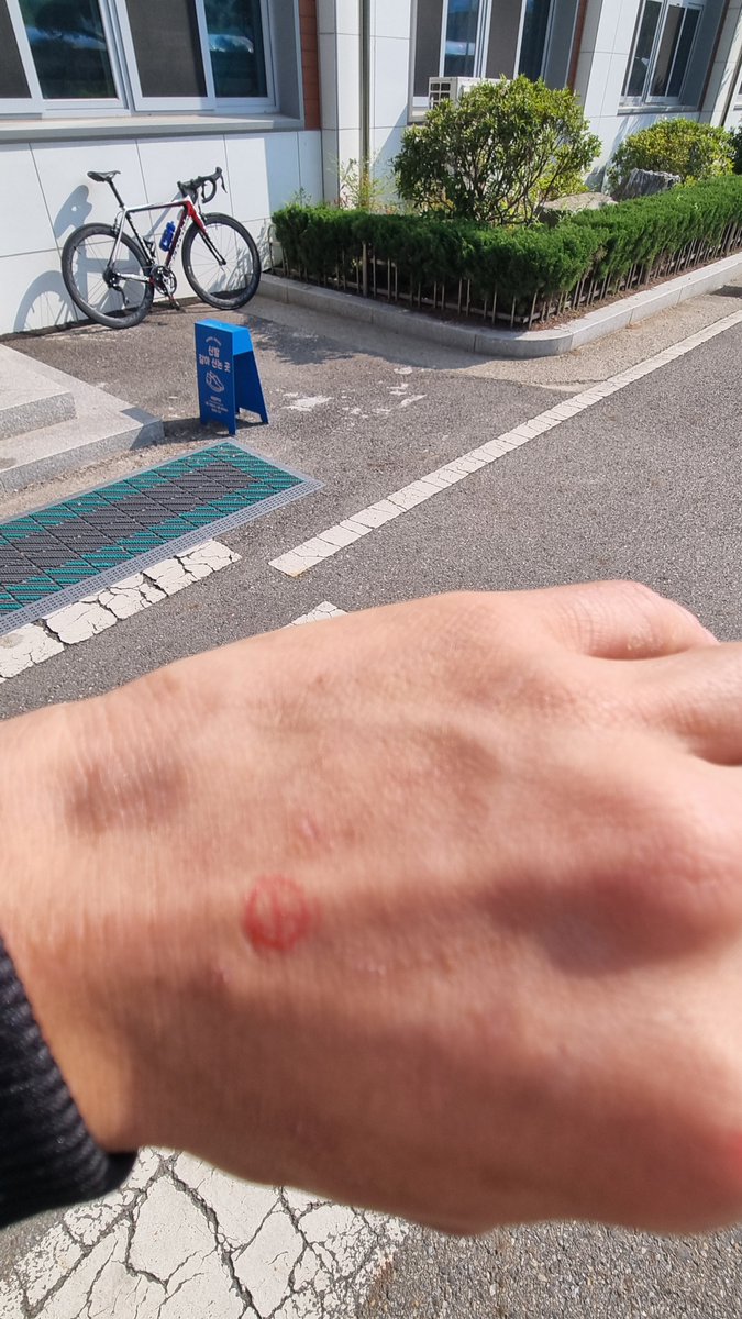 투표완료
생각보다 한산하네요.