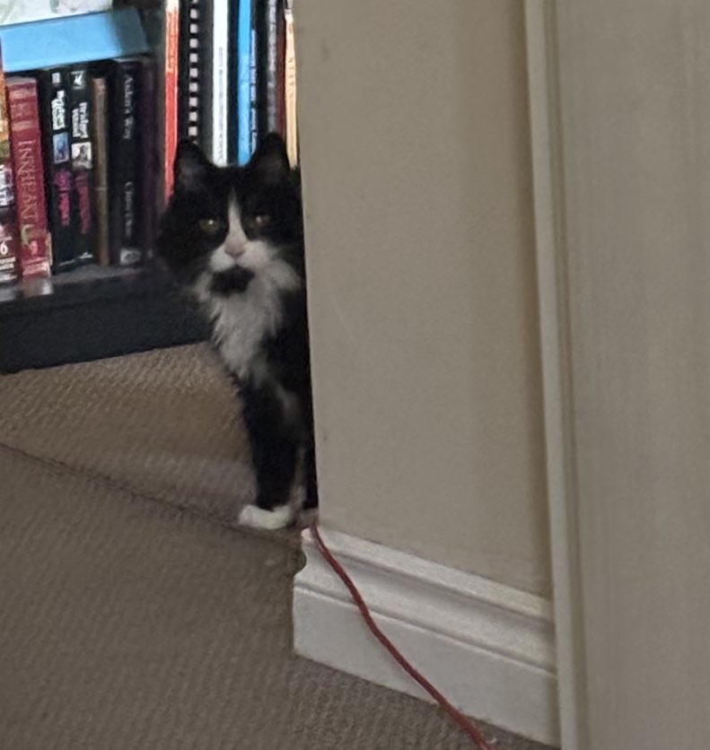 Just know that Navi is always there lurking