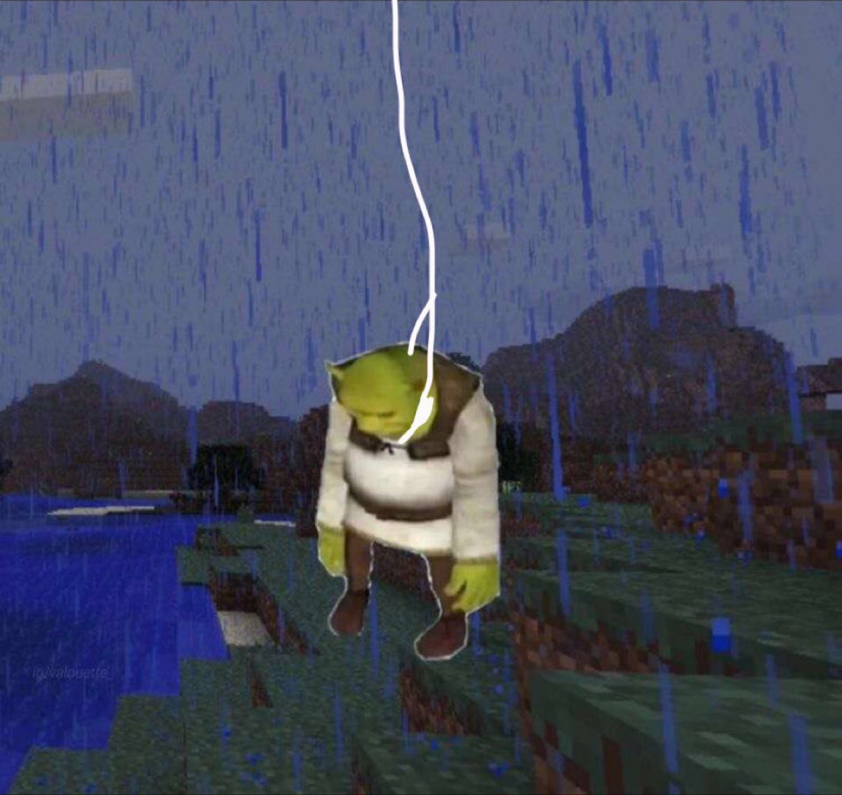 ley 🐈‍⬛ tweet media