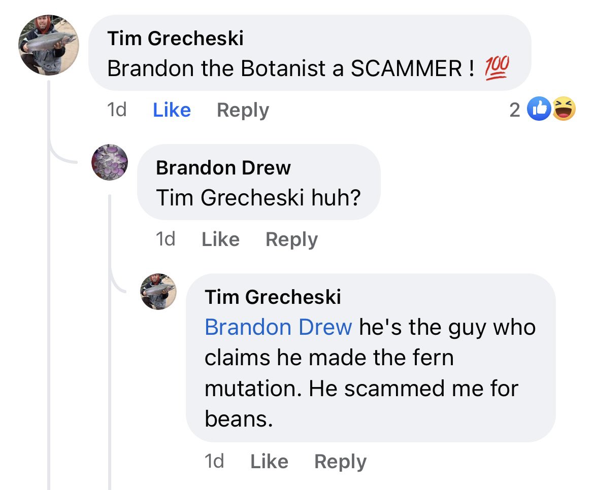 Hi-Elevation Genetics tweet media