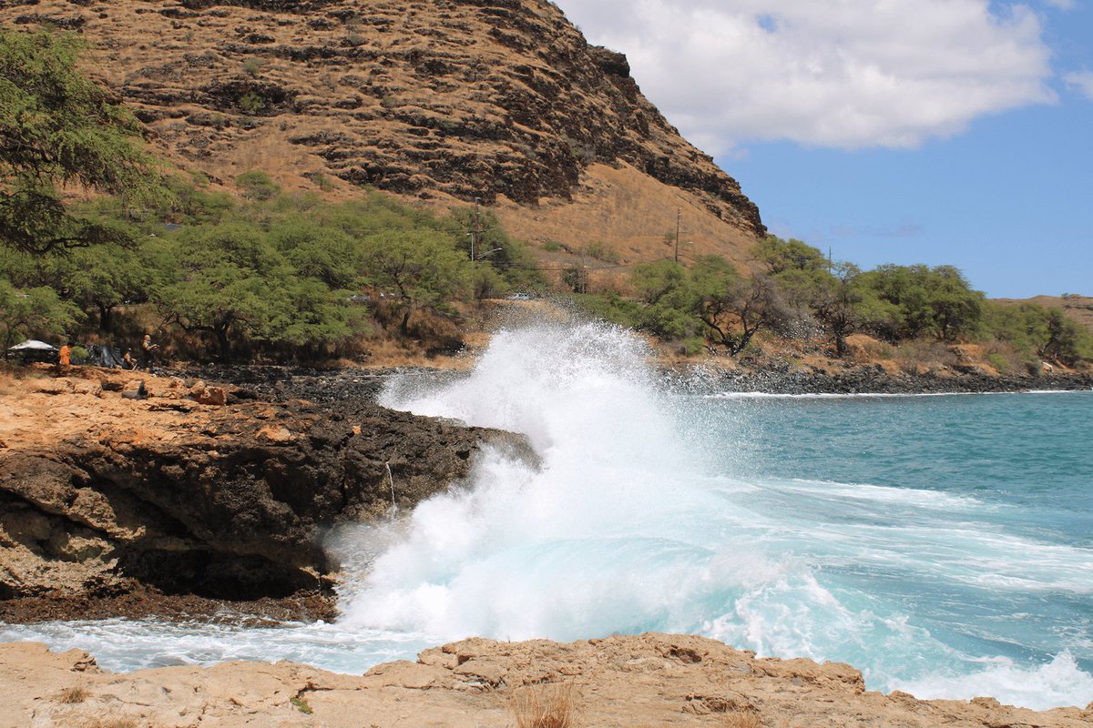 JalpakHawaii's tweet photo. ／
海へ行く？🌊山へ行く？🌋
おいしいものを食べに行く？🍍
ハワイの朝は早い！！🌞
＼ 
あなたはハワイでどんな朝を過ごす？
ハワイ旅行は朝の時間の使い方が大事！⏰ 
朝出発のツアーはこちらから👇👇https://t.co/WMQx7khFYq　
#ハワイの夏休み #ハワイのオプショナルツアー https://t.co/pPq9ciUQZ7