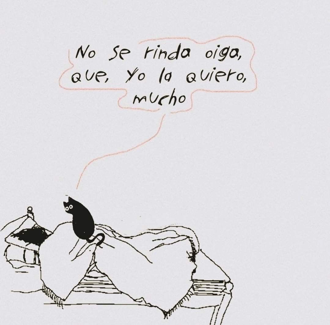 dilocondibujos_'s tweet photo. Envíaselo https://t.co/3ntvlwbplp