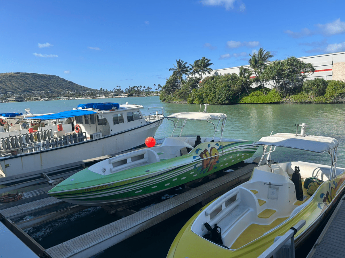 JalpakHawaii's tweet photo. #スタッフおすすめツアー
／
海上アクティビティで
ハワイの海を遊びつくそう！🌊🛥️
＼ 
南国アクティビティといえばこれ！🏝️
ハネムーンや家族旅行でハワイへ訪れた際は是非！
大満足間違いなし🥳
海上アクティビティ関連ツアーはこちら👇
https://t.co/Rb6Fx1mslN
#ハワイで夏休み #ハワイ旅行計画 https://t.co/ovjfb6hBoo
